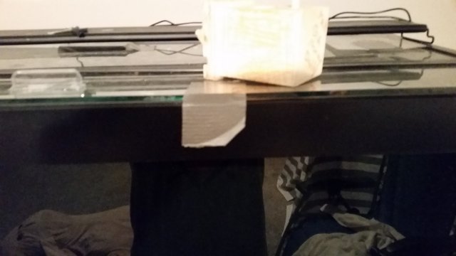 20170201_102911.jpg
