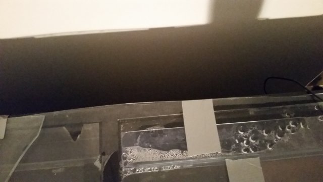 20170201_102902.jpg