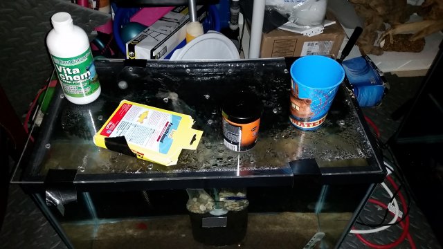 20170201_103132.jpg