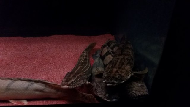 20170121_090942.jpg