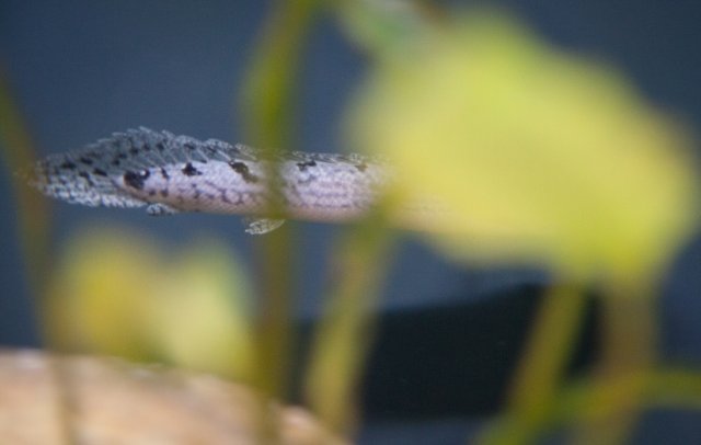 IMG_5800.jpg