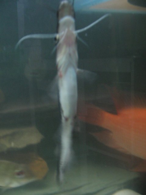 STK_1657.JPG