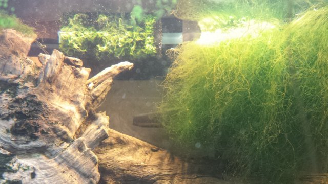 1486081003825.jpg 1486081003825.jpg