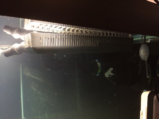 IMG_1996.JPG IMG_1996.JPG