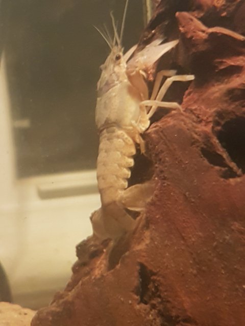 1486184579673-1175330503.jpg 1486184579673-1175330503.jpg