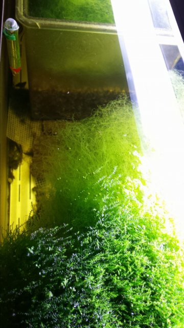 1486229798960.jpg 1486229798960.jpg