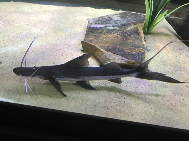 IMG_1046.JPG IMG_1046.JPG