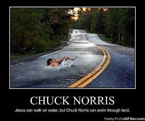 funny_chuck_norris.jpg