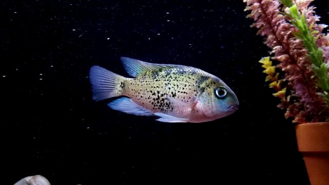 2017-02-01 11.44.14.jpg