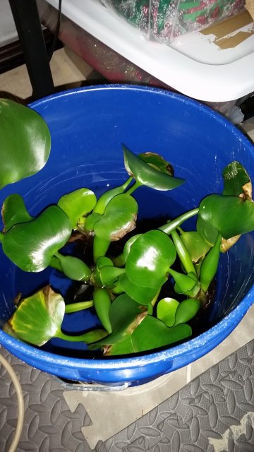 20170206_170231.jpg 20170206_170231.jpg