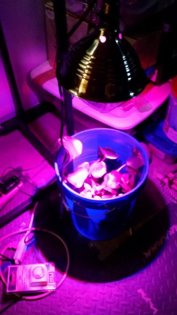 20170206_170205.jpg 20170206_170205.jpg