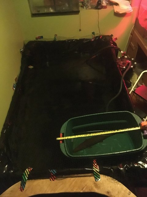 IMG_2916.JPG IMG_2916.JPG