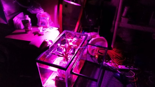 20170207_150306.jpg 20170207_150306.jpg