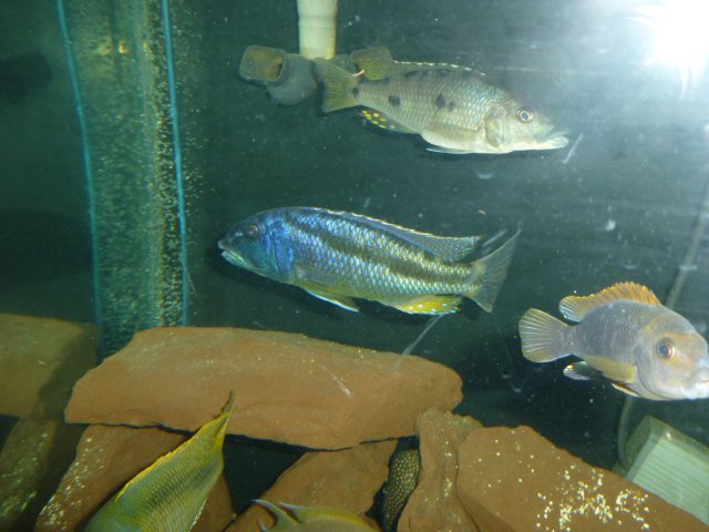P1020144.JPG P1020144.JPG