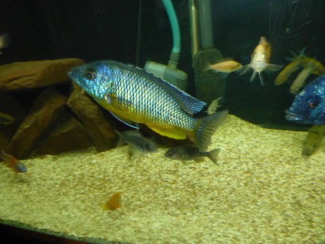 P1020147.JPG P1020147.JPG