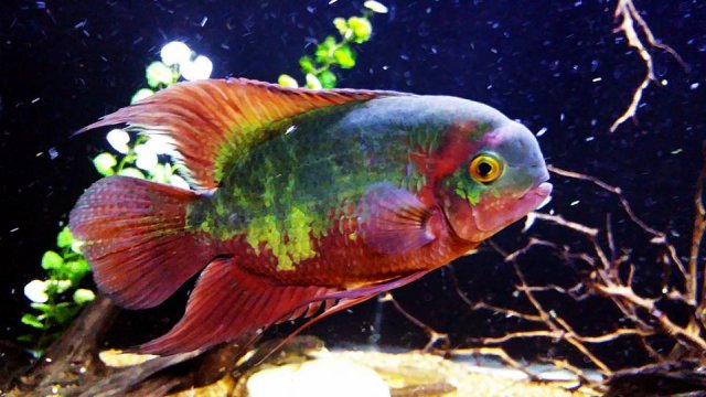 14446218_10154588553617451_4990353997479764301_n.jpg 14446218_10154588553617451_4990353997479764301_n.jpg