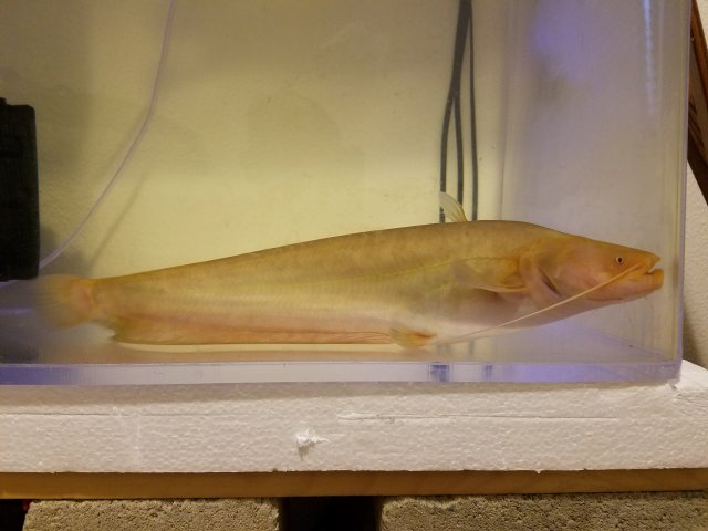 20170208_073837.jpg