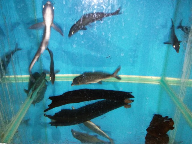 20170102_145924.jpg
