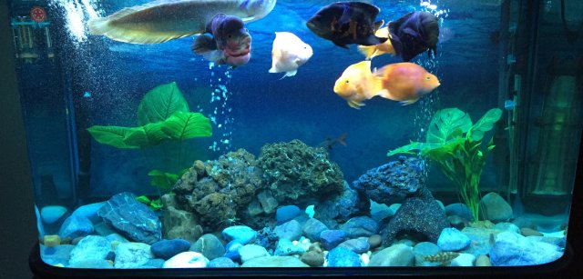 IMG_3715.JPG IMG_3715.JPG