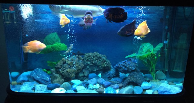 IMG_3716.JPG IMG_3716.JPG