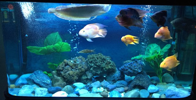 IMG_3717.JPG IMG_3717.JPG