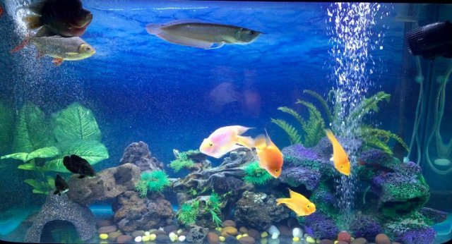 IMG_2944.JPG IMG_2944.JPG