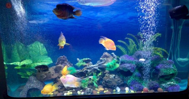 IMG_2945.JPG IMG_2945.JPG