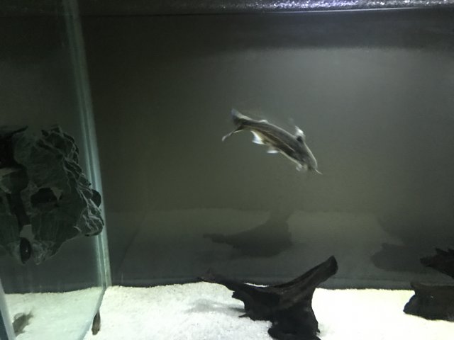 IMG_0088.JPG