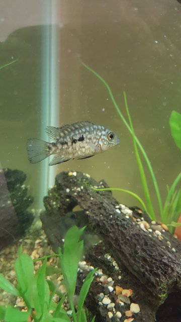 20170209_024258.jpg 20170209_024258.jpg