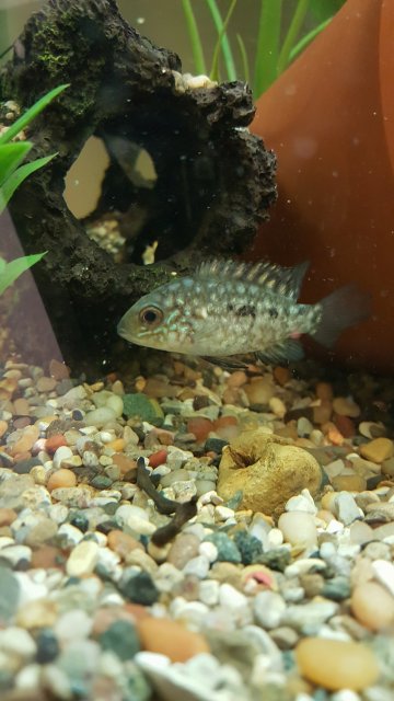 20170209_024420.jpg 20170209_024420.jpg