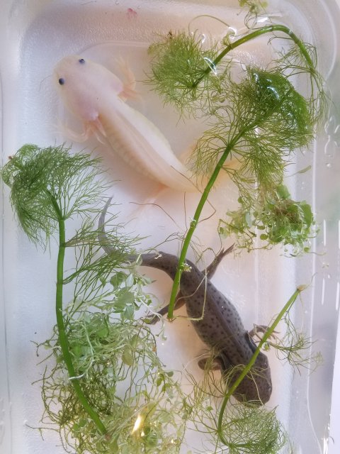 20170205_120243.jpg