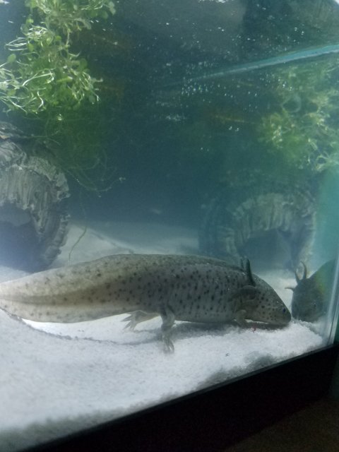 20170204_153030.jpg