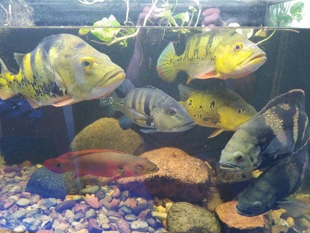 20161016_224635.jpg 20161016_224635.jpg
