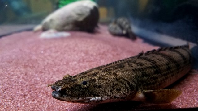 20170209_210146.jpg 20170209_210146.jpg