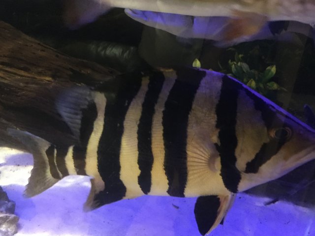 IMG_1602.JPG IMG_1602.JPG
