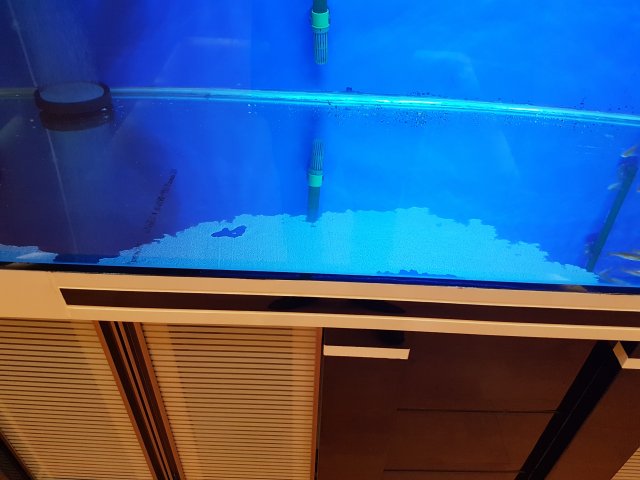 20170210_225046.jpg