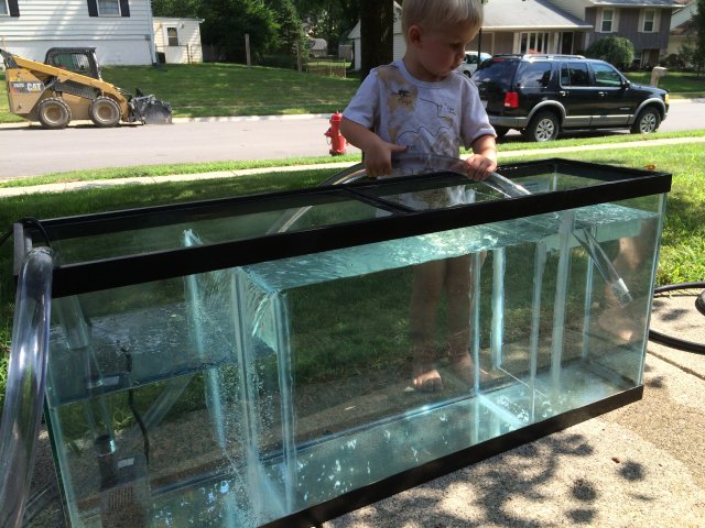 Aquarium clearance sump setup