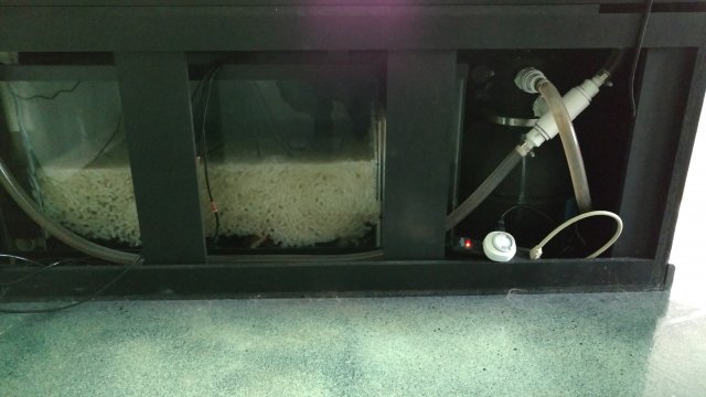300 Sump.jpg