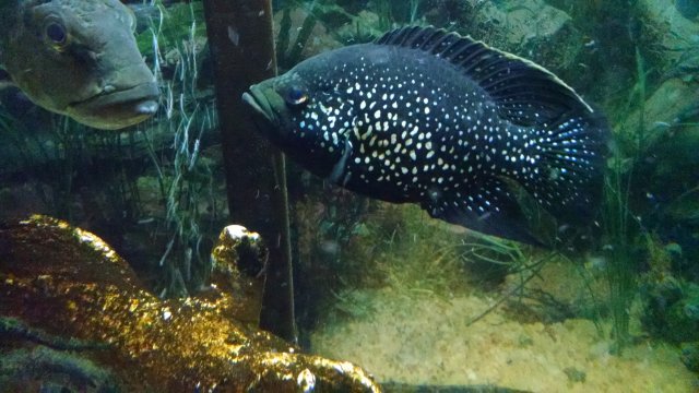 IMG_20170211_162302605.jpg