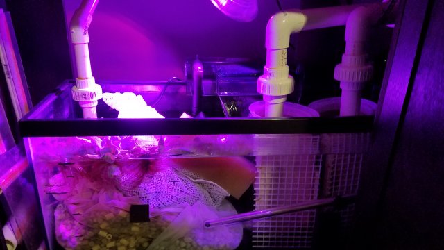 20170211_170526.jpg