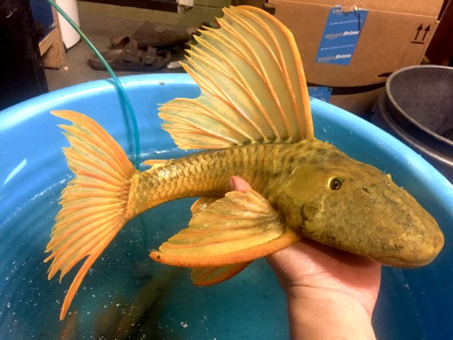 IMG_0847.jpg IMG_0847.jpg