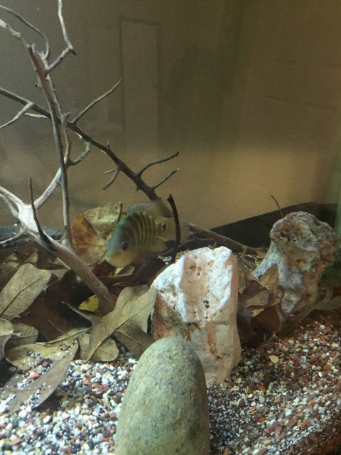 IMG_0576.JPG