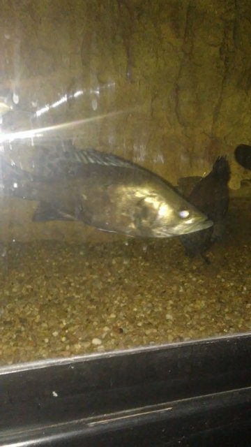 20170213_224415.jpg 20170213_224415.jpg