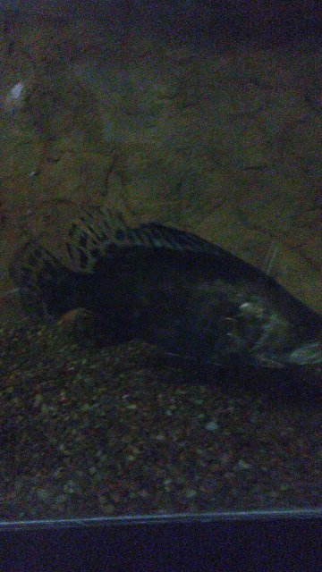 20170213_224410_Burst01.jpg 20170213_224410_Burst01.jpg