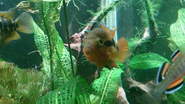 20170214_153539(3).jpg