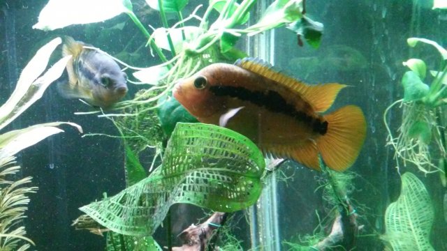 20170214_153640.jpg