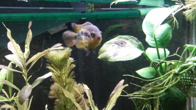 20170214_153711.jpg