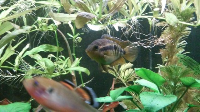 20170214_153744.jpg