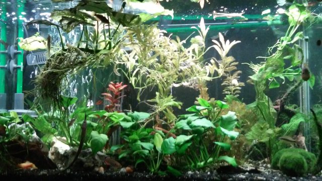 20170213_165032.jpg
