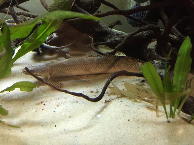 IMG_3888.JPG